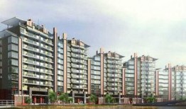 楼市爆料西安最新消息,揭秘最新房价走势与政策调整